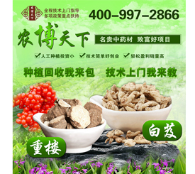 農(nóng)博天下